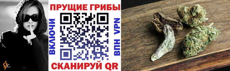 Псилоцибиновые грибы Psilocybe  блэк спрут ONION  Балаково 